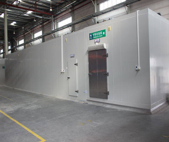 國(guó)藥佛山普洛斯倉(cāng)空調(diào)及冷庫(kù)項(xiàng)目